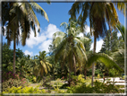 foto Flora e la Fauna alle Seychelles